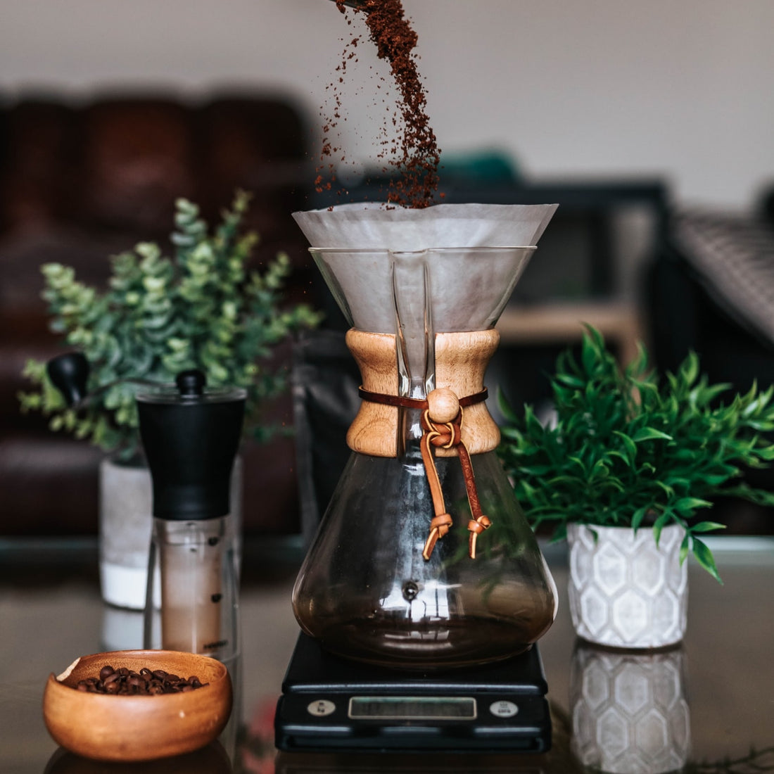 The Chemex Guide: Your Path to Perfect Coffee